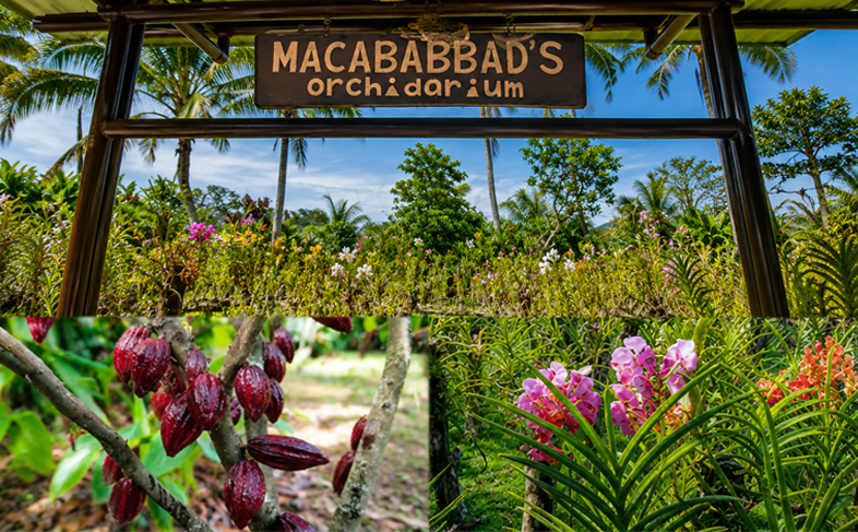 Macababbads